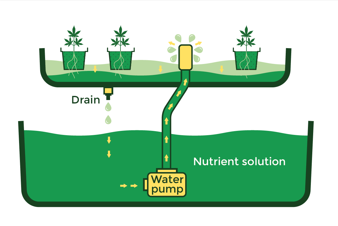 Hydroponic system